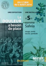 «S» comme Salvia sauge, santé, secret, symbole