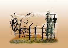 Une exposition flash