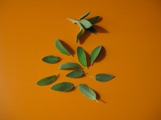 Le jardin s'anime‚…