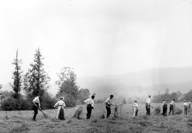 Le Jura et la Grande Guerre