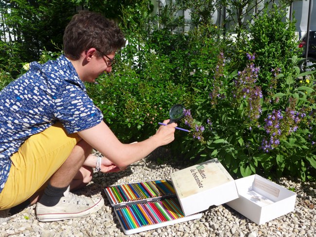 Atelier : A la découverte d'un cabinet de curiosités ‚…. en pleine forêt ! (dès 7 ans)