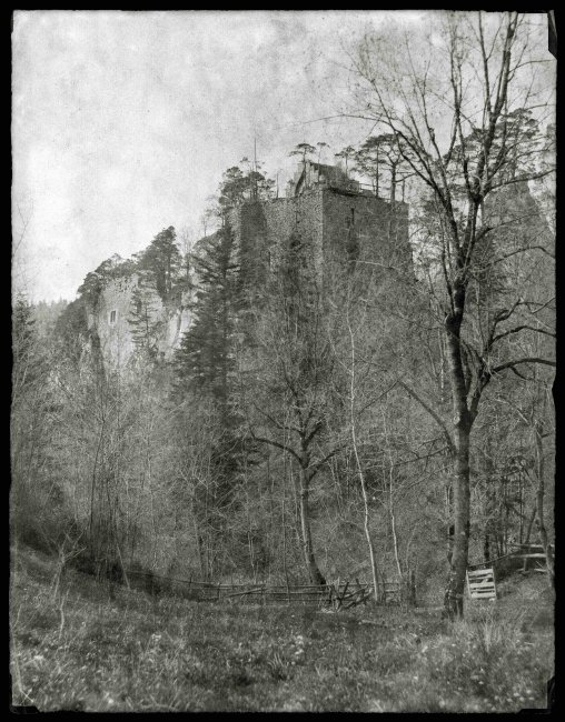 Visite guidée de l'exposition temporaire 
