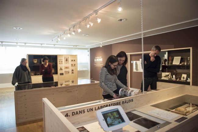 Visite accompagnée de l'exposition 