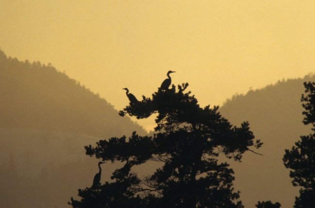 Delémont : ville et nature, passé et présent