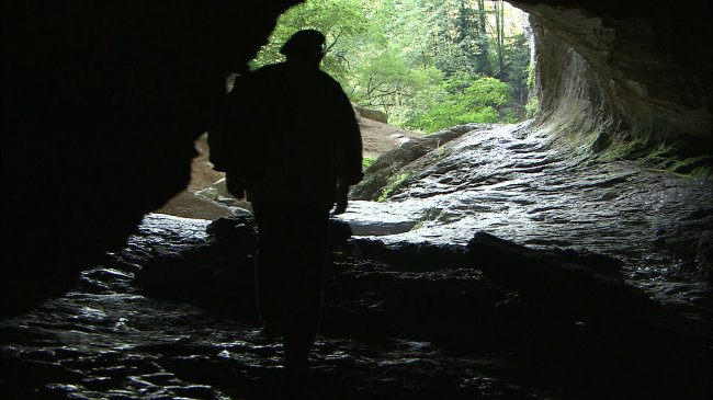 Mais qui êtes-vous Monsieur Courbet ?