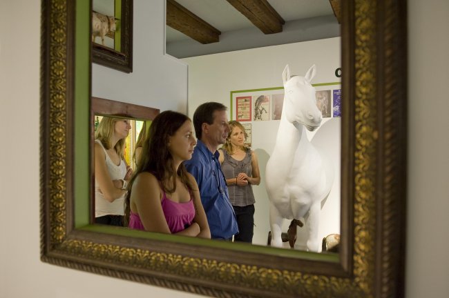 Une dose de musée pour remplacer une dose de télé !