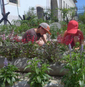 Le jardin s’anime…