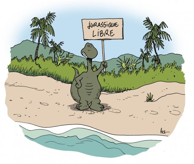 Un parcours drôle et étonnant  à travers les dessins de Pitch Comment