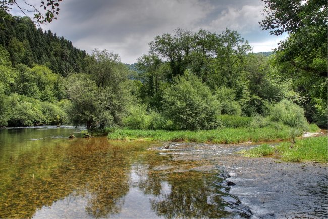 Le Doubs, état des lieux et enjeux d'un écosystème