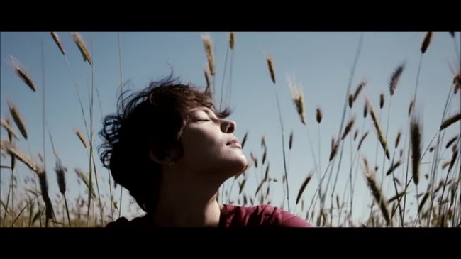 Assistance au suicide : risque ou besoin ?