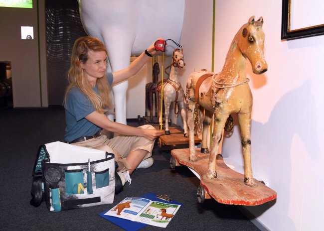 Une expédition autour des animaux !