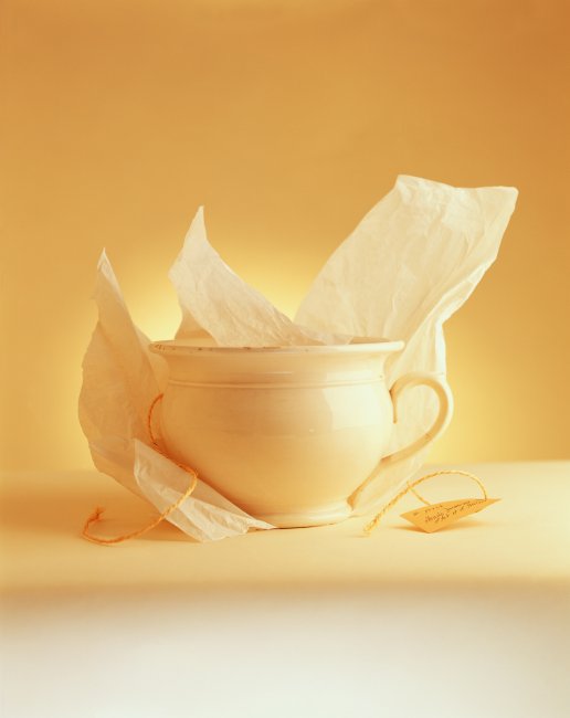 L’envers du musée